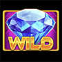 Wild Wild